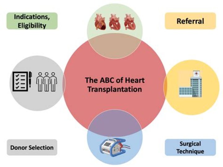 Unlocking The Secrets Of Heart Transplantation